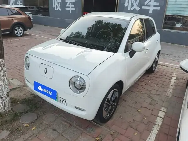 Ora Black Cat 2022, 76 600 км