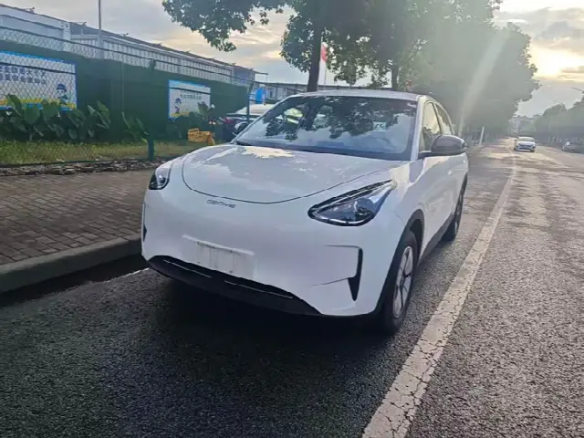 Geely Galaxy Geome 2025, 29 100 км