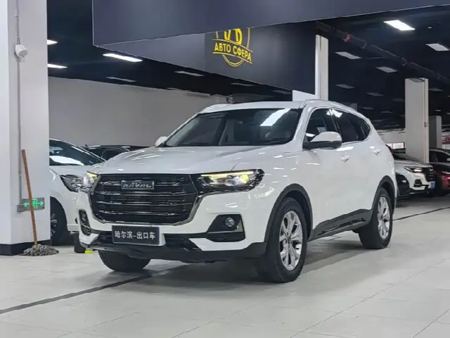 Haval H6 2021, 38 000 км