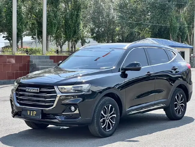 Haval H6 2021, 25 000 км