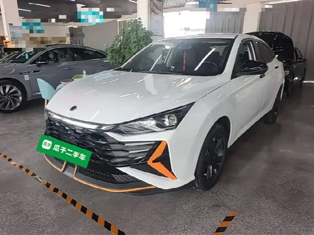 Dongfeng Aeolus Yixuan 2024, 17 300 км