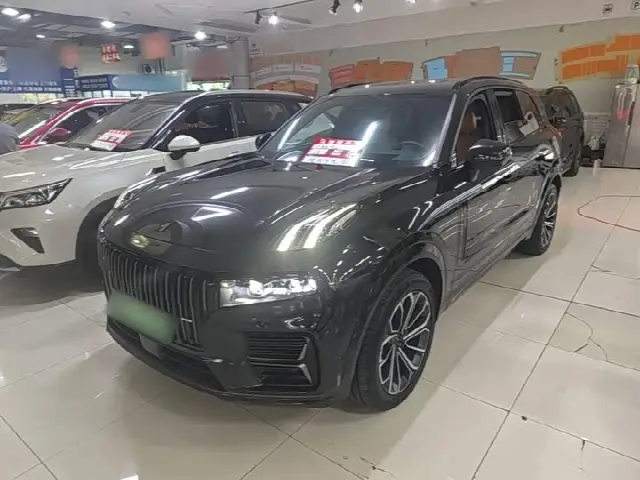 Lynk & Co 09 EM-P Hybrid 2025, 9 200 км