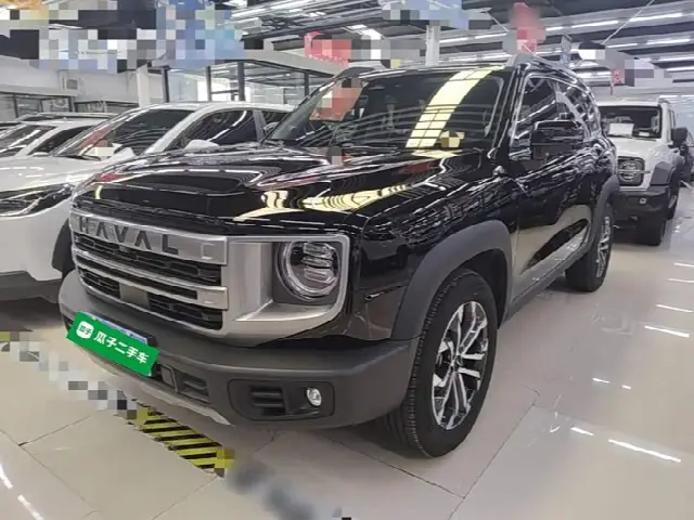 Haval Dargo 2024, 12 800 км