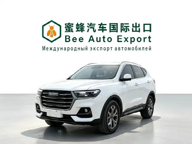 Haval H6 2021, 14 000 км