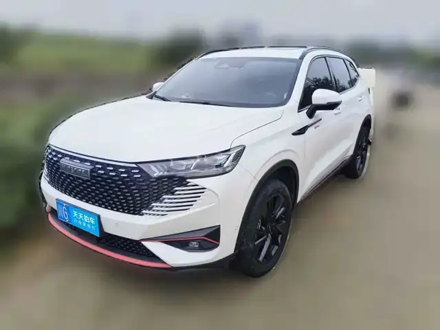 Haval H6 2021, 56 230 км