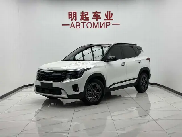 Kia Seltos 2023, 28 000 км