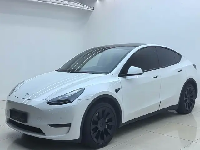 Tesla Model Y 2023, 77 000 км