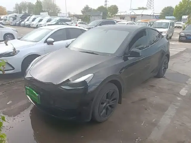 Tesla Model Y 2023, 76 800 км