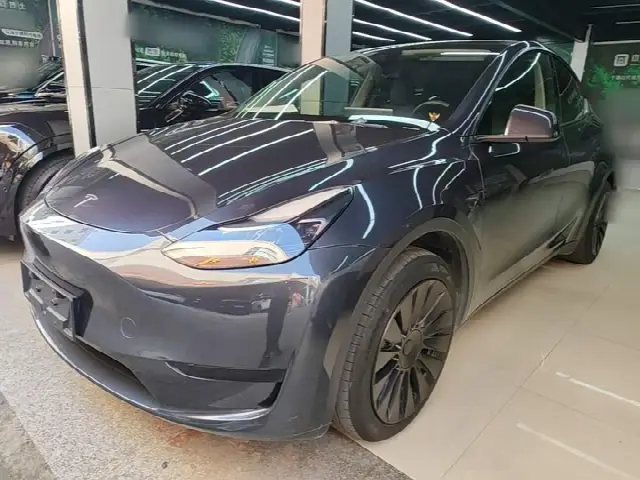 Tesla Model Y 2024, 46 000 км