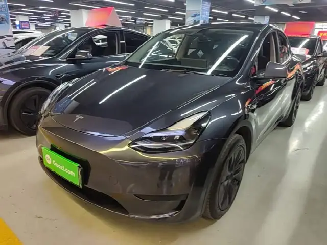 Tesla Model Y 2024, 44 600 км