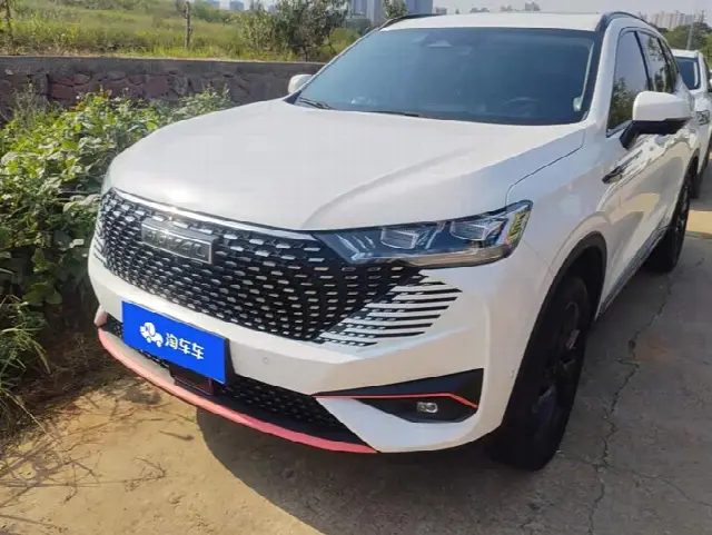 Haval H6 2021, 56 200 км