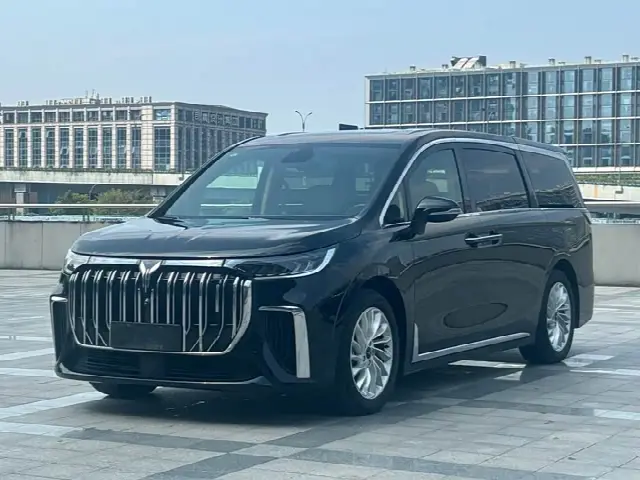 Voyah Dream 2024, 45 000 км