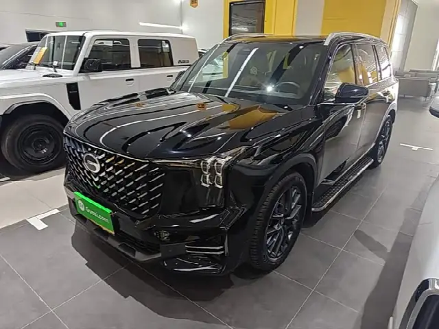GAC Trumpchi GS8 2025, 24 400 км