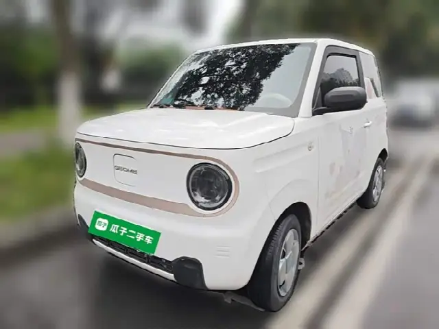 Geely Galaxy Panda Mini 2023, 24 600 км
