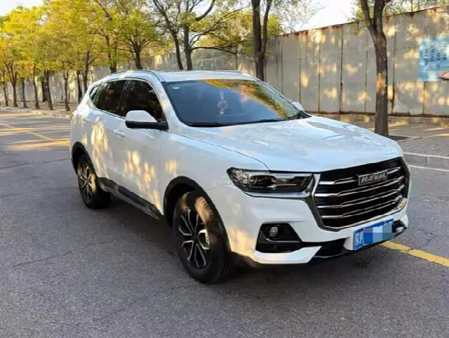 Haval H6 2021, 39 000 км