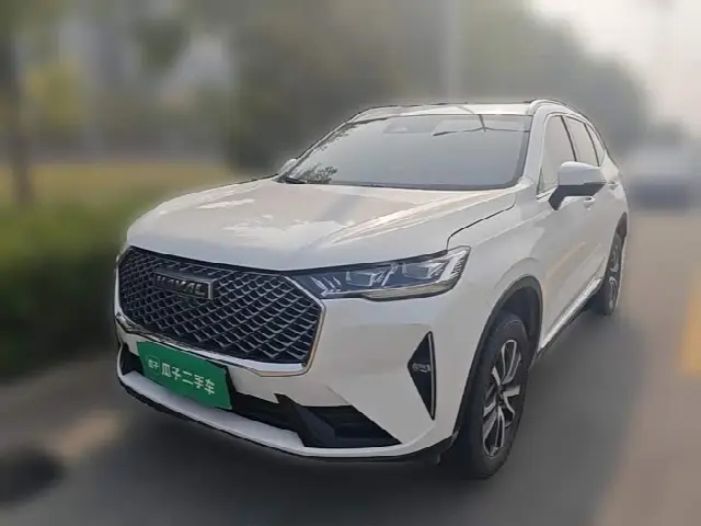 Haval H6 2022, 21 900 км