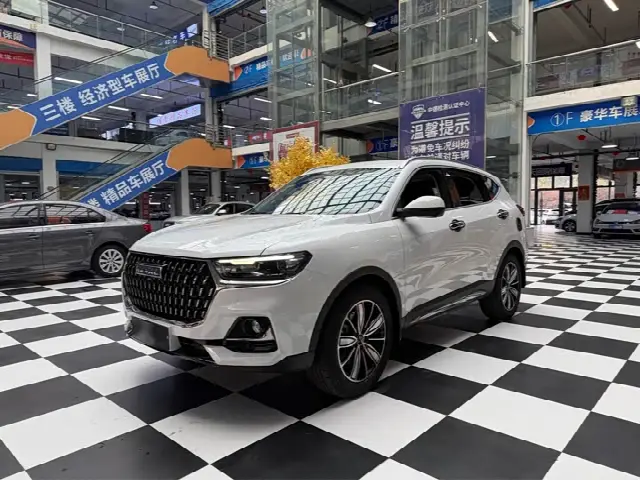 Haval H6 2023, 36 000 км