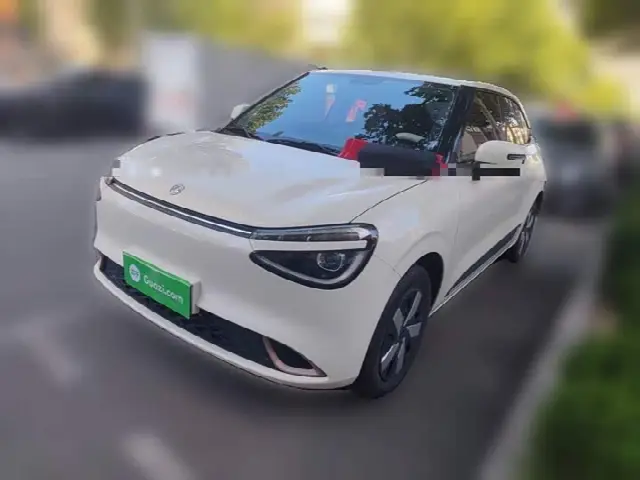 Dongfeng Yipai Nano 01 2024, 8 000 км