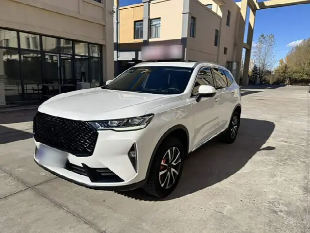 Haval H6 2022, 49 500 км