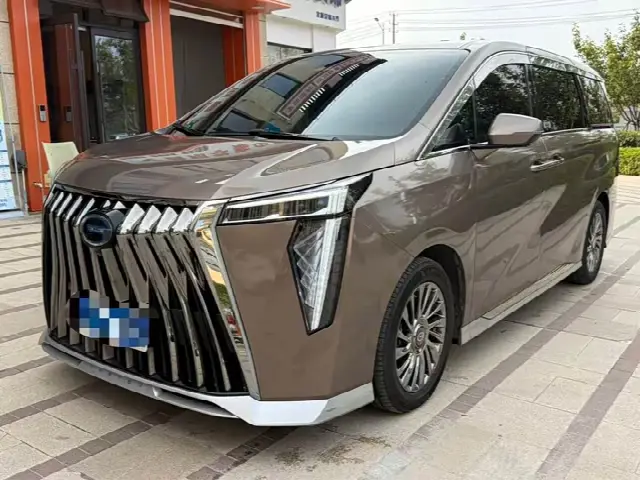 GAC Trumpchi M8 2023, 50 000 км