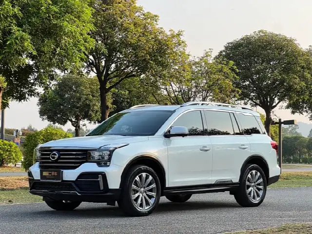 GAC Trumpchi GS8 2020, 27 000 км