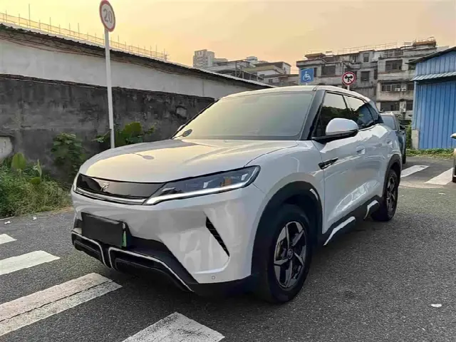 BYD Yuan Up 2024, 25 000 км