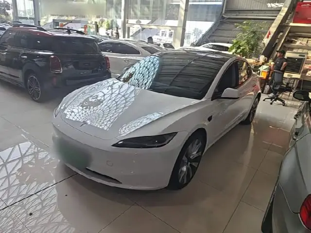 Tesla Model 3 2025, 25 000 км