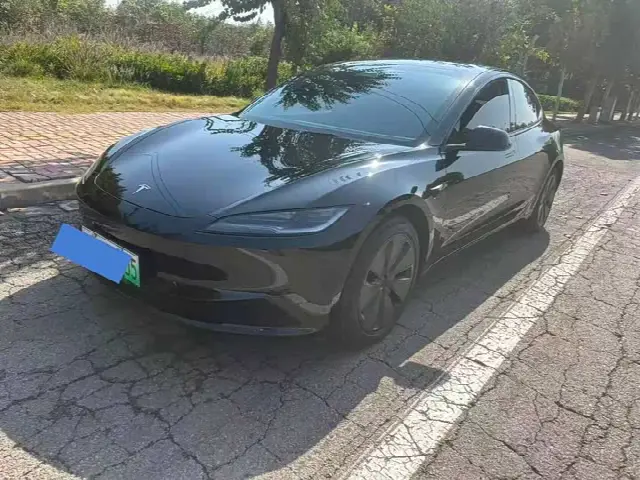 Tesla Model 3 2025, 10 000 км