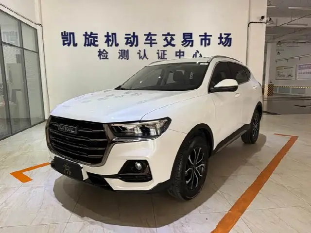 Haval H6 2021, 19 000 км