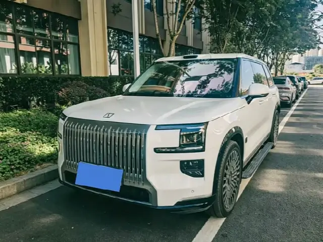 Zeekr 9X 2025, 20 000 км