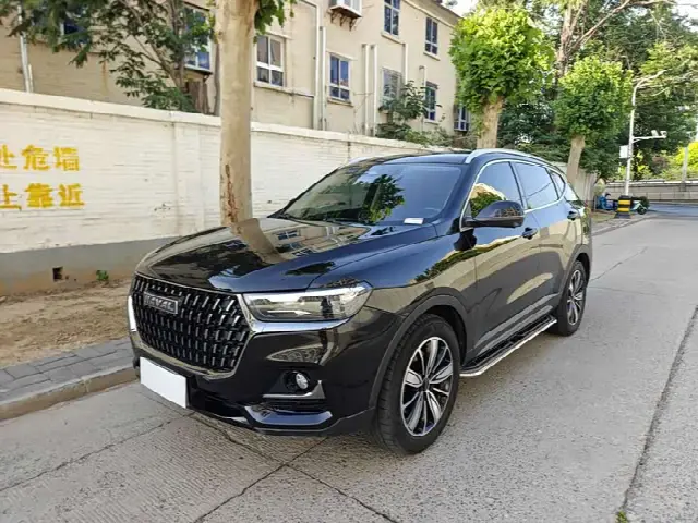 Haval H6 2023, 29 000 км
