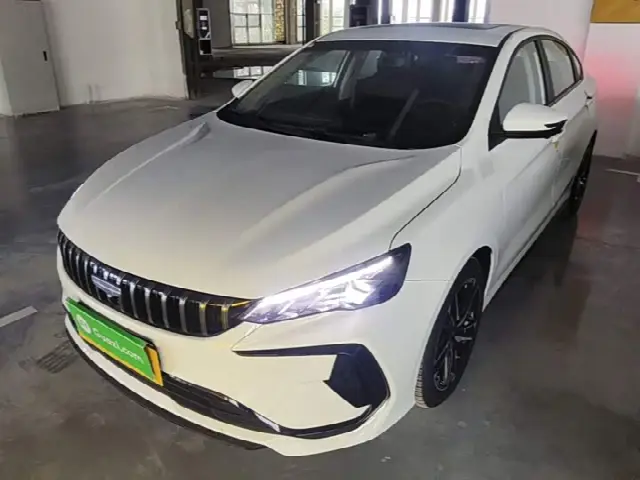 Geely Binrui 2024, 100 км