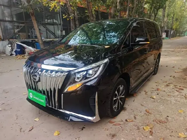 GAC Trumpchi M8 2023, 62 400 км