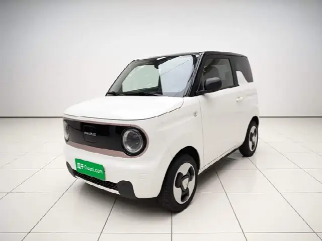 Geely Galaxy Panda Mini 2023, 17 500 км