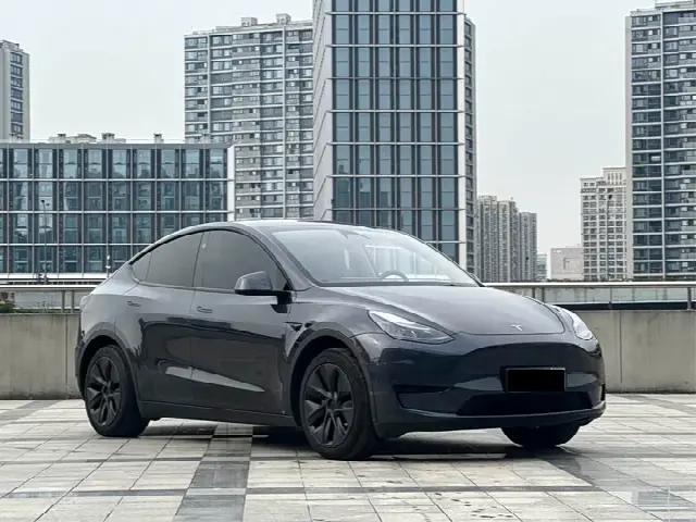 Tesla Model Y 2024, 60 000 км