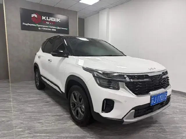 Kia Seltos 2023, 3 000 км
