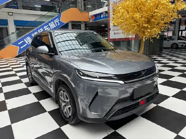 BYD Yuan Up 2025, 11 000 км