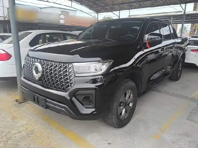 Great Wall Pao 2023, 10 900 км