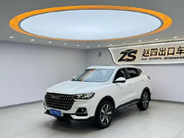 Haval H6 2023, 38 000 км