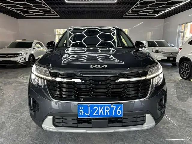 Kia Seltos 2023, 25 000 км