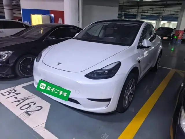 Tesla Model Y 2022, 95 100 км