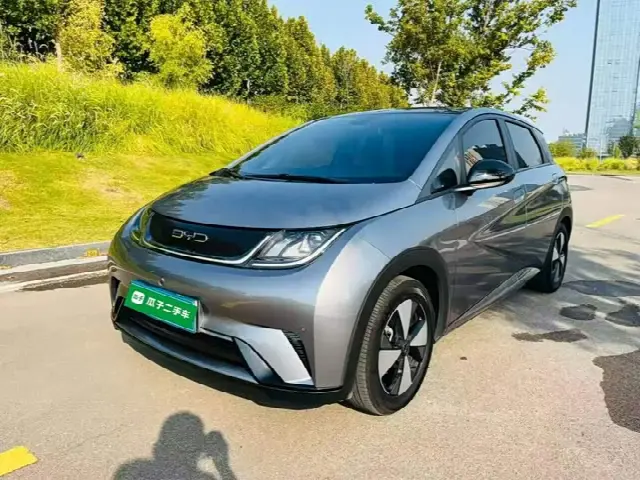 BYD Dolphin 2023, 46 600 км