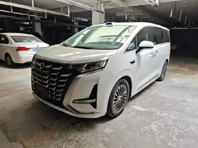 Denza D9 2025, 9 300 км
