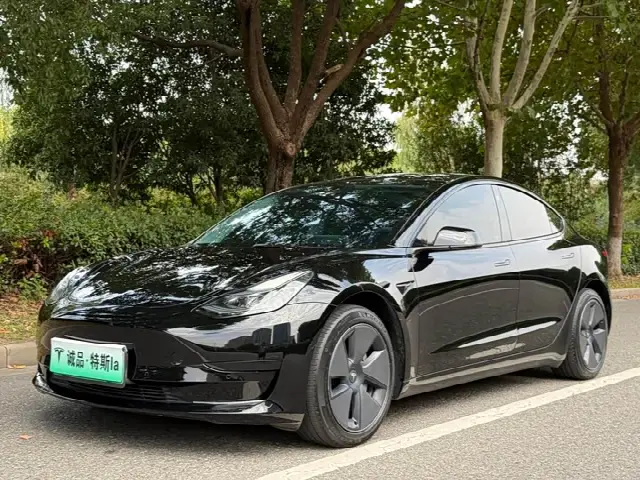 Tesla Model 3 2022, 70 000 км