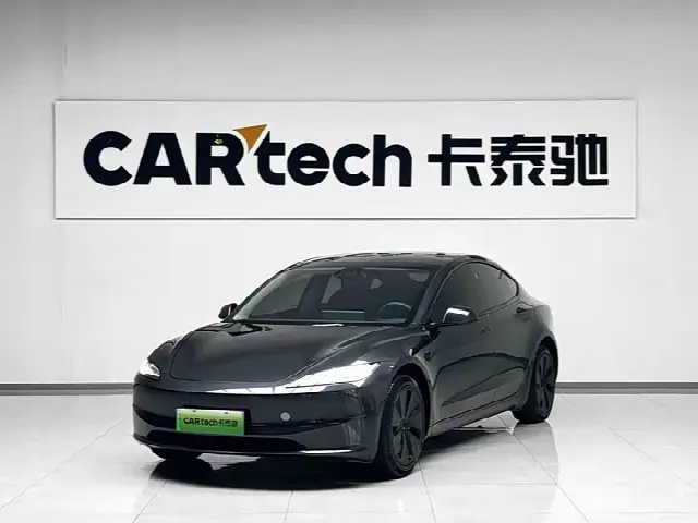 Tesla Model 3 2023, 17 300 км