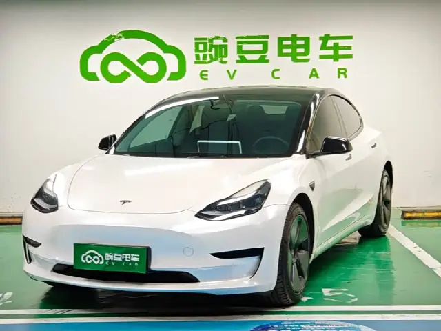 Tesla Model 3 2022, 58 000 км