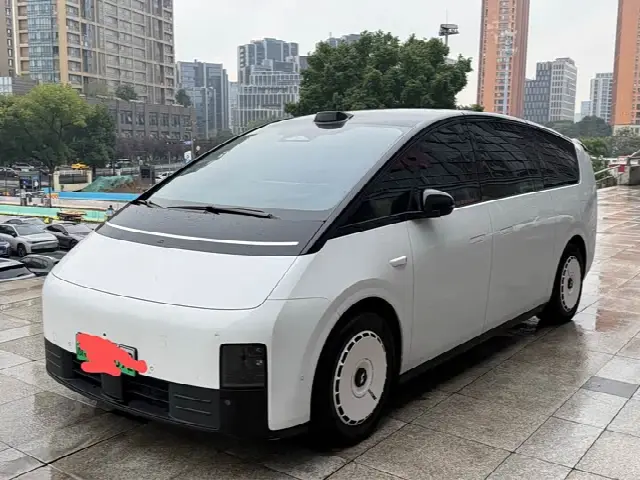 LiXiang Mega 2024, 74 000 км