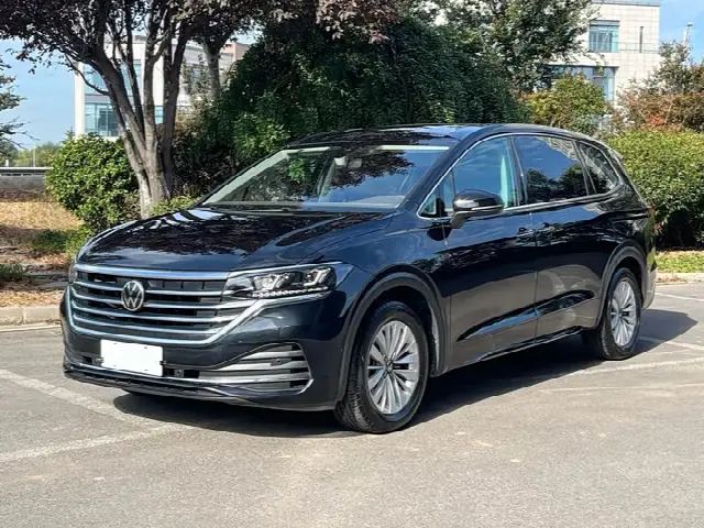 Volkswagen Viloran 2024, 70 000 км