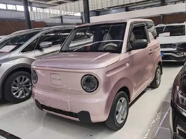 Geely Galaxy Panda Mini 2023, 50 000 км