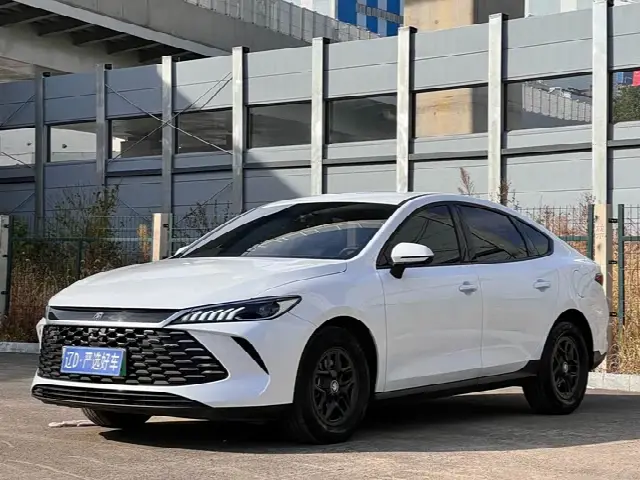 BYD Qin Plus 2025, 20 000 км